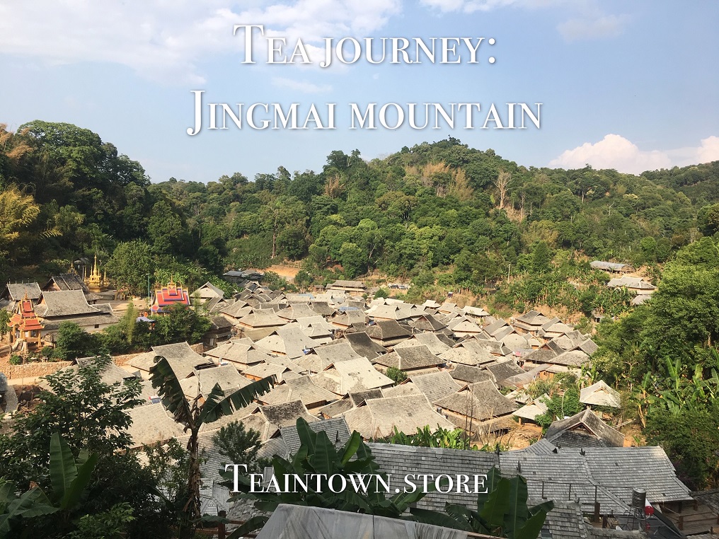 Tea Journey: JINGMAI MOUNTAIN
