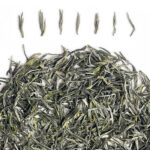 2023 Yang Xian Xue Ya Snow Bud Green Tea - 50g
