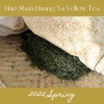[Pre-Sale 10% off] 2025 Huo Shan Huang Ya Yellow Tea