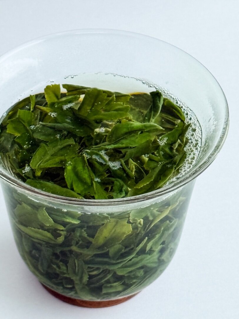 [Available Now - 10% off] 2025 Lu An Gua Pian "Melon Seed" Green Tea - Image 7